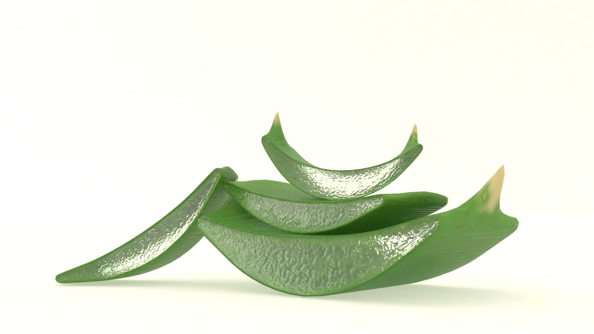 3D aloe plant vera https://p.turbosquid.com/ts-thumb/iZ/VQDwWn/gI/1/jpg/1618218699/1920x1080/fit_q87/0aeb8dc2f948dbc8fea4e1e52c879d28ccad910b/1.jpg