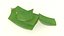 Aloe Vera slice health herb