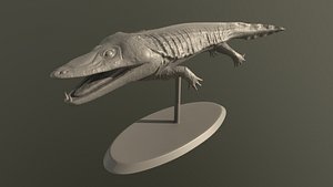 printing 3D model