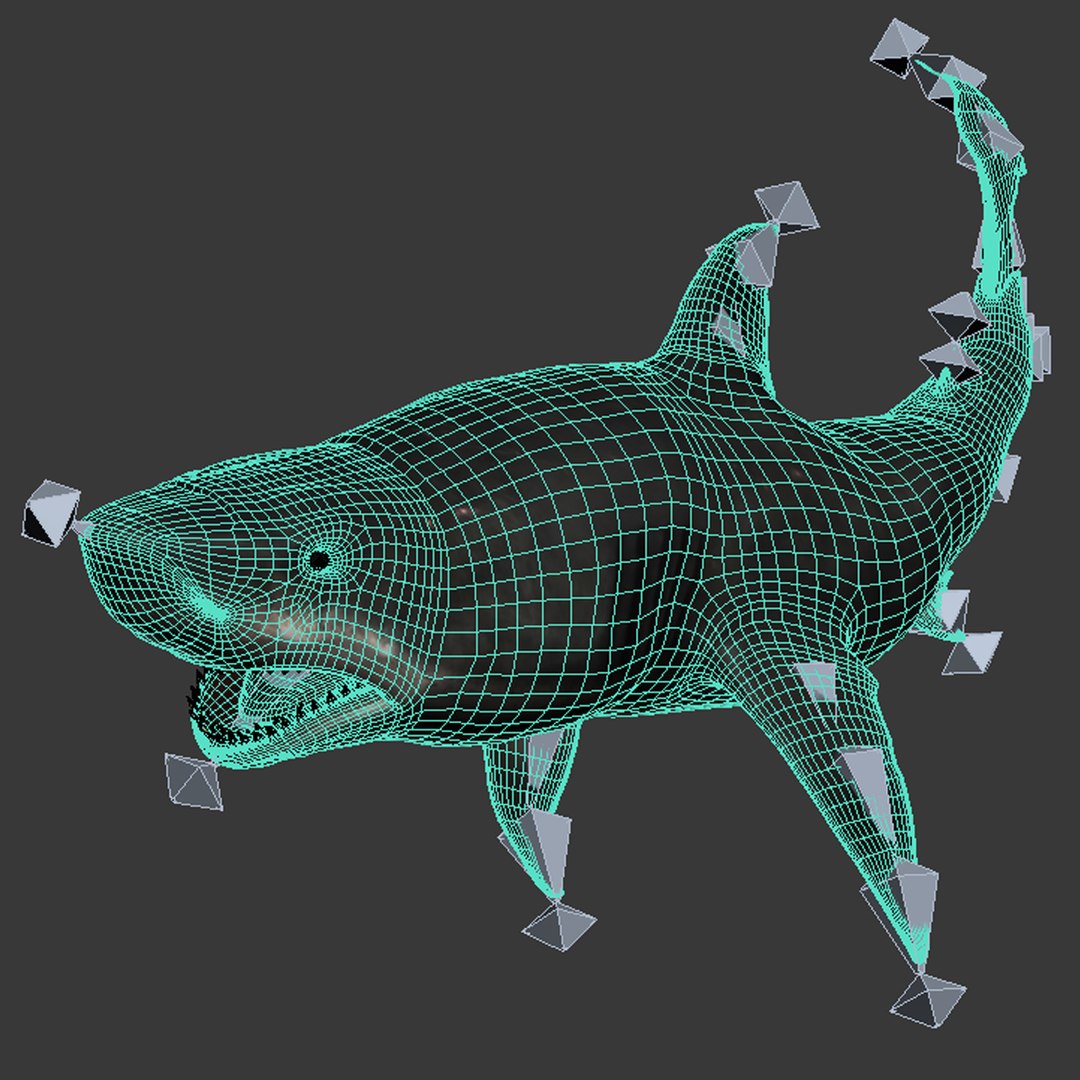 3d Shark Rigged