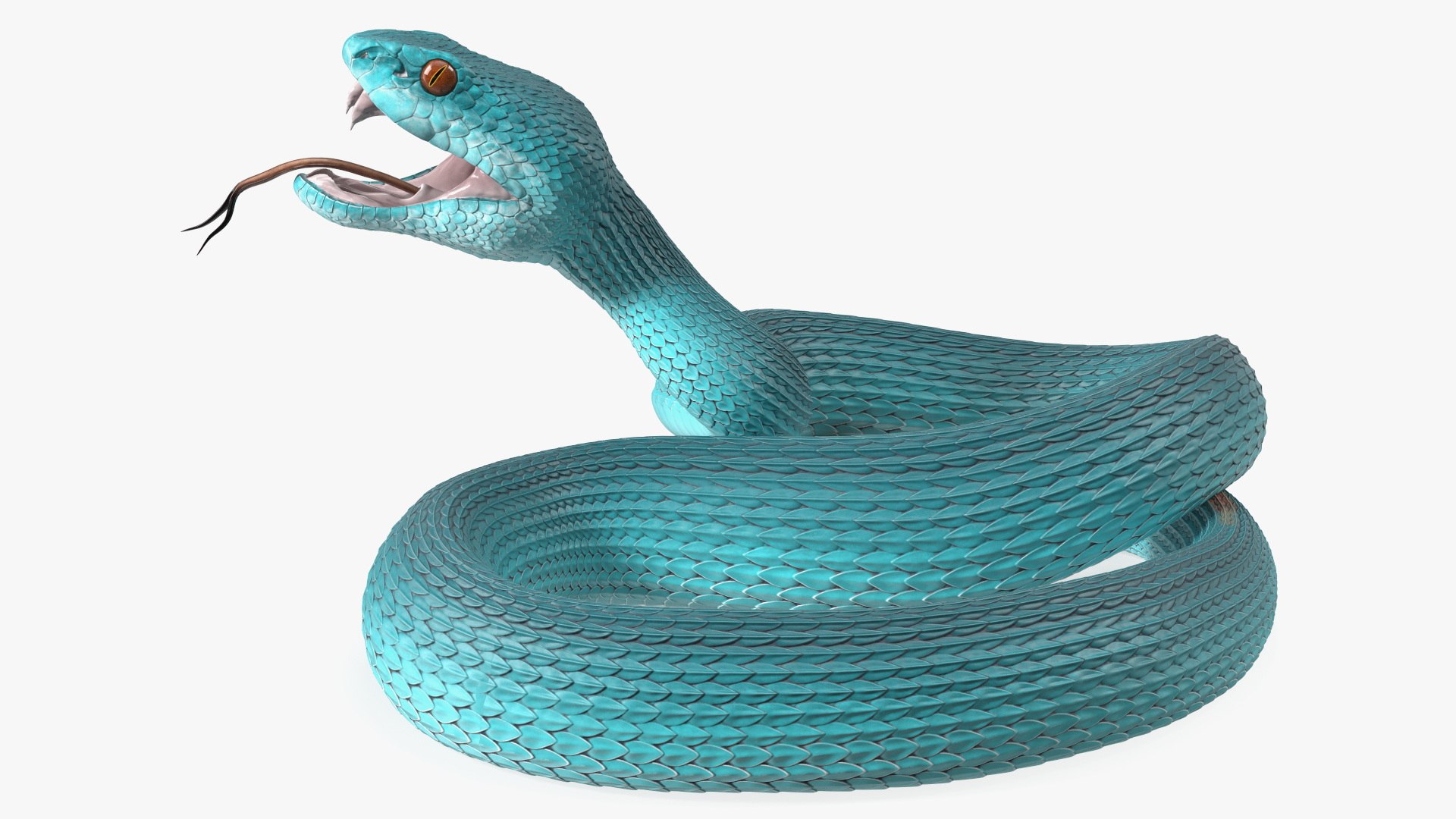 Viper Blue Trimeresurus Rigged 3D model preview