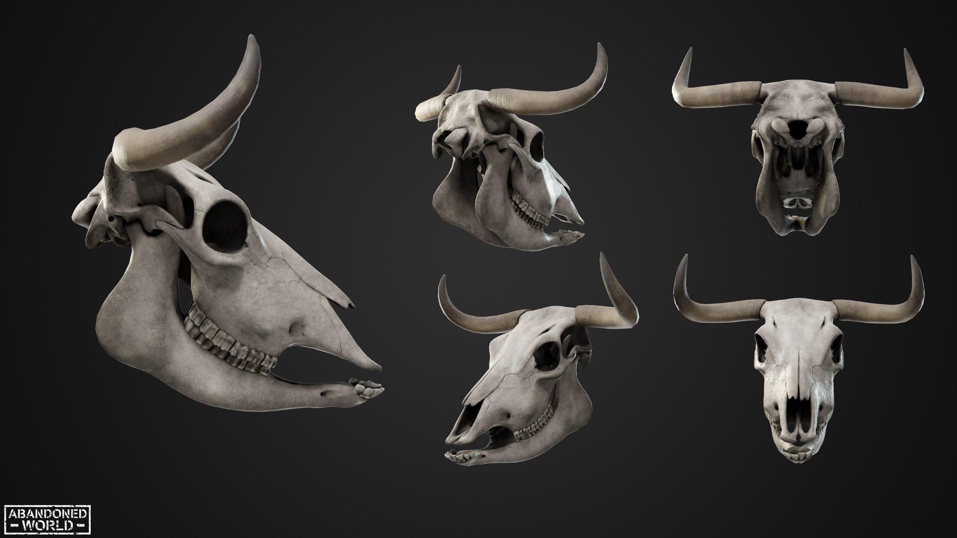 3D Cow Skull https://p.turbosquid.com/ts-thumb/iZ/wh4p2f/YI/03/jpg/1743689181/1920x1080/fit_q87/b7b565a5f5a4b87b4455d0c175e134643d1cf167/03.jpg