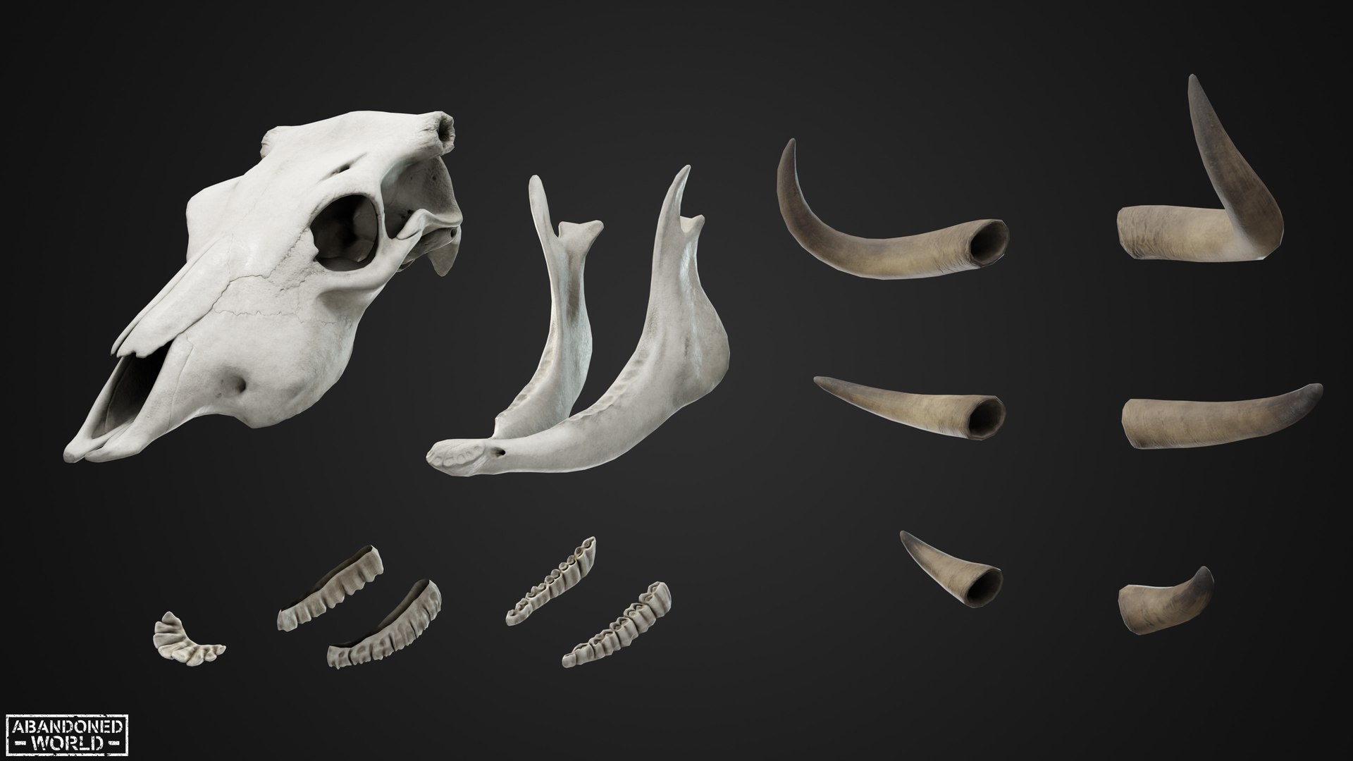 3D Cow Skull https://p.turbosquid.com/ts-thumb/iZ/wh4p2f/zH/06/jpg/1743689187/1920x1080/fit_q87/3ebcc4ad8a7bd9816e0cb8317924fbde1cc86287/06.jpg