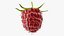 Red Raspberry