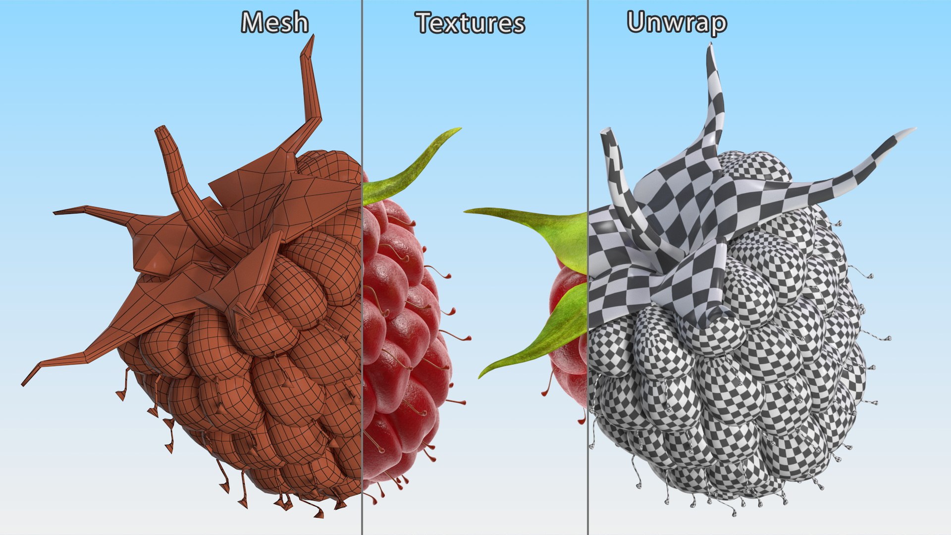 Red Raspberry 3D model https://p.turbosquid.com/ts-thumb/iZ/zHL7VR/6B/redraspberry3dmodel014/jpg/1695685004/1920x1080/fit_q87/f7feb792545c497b427d9985a612b50ecc813042/redraspberry3dmodel014.jpg