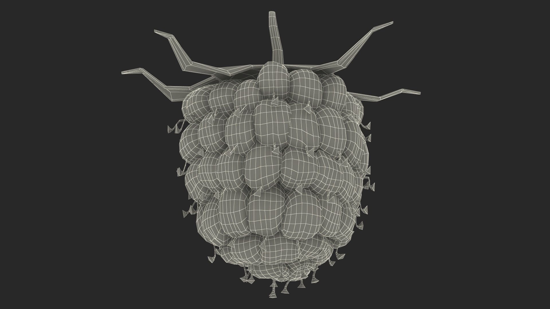 Red Raspberry 3D model https://p.turbosquid.com/ts-thumb/iZ/zHL7VR/Im/redraspberry3dmodel024/jpg/1695685040/1920x1080/fit_q87/f6766722b52a35af8f4a2ecd85e810cd5040eab1/redraspberry3dmodel024.jpg