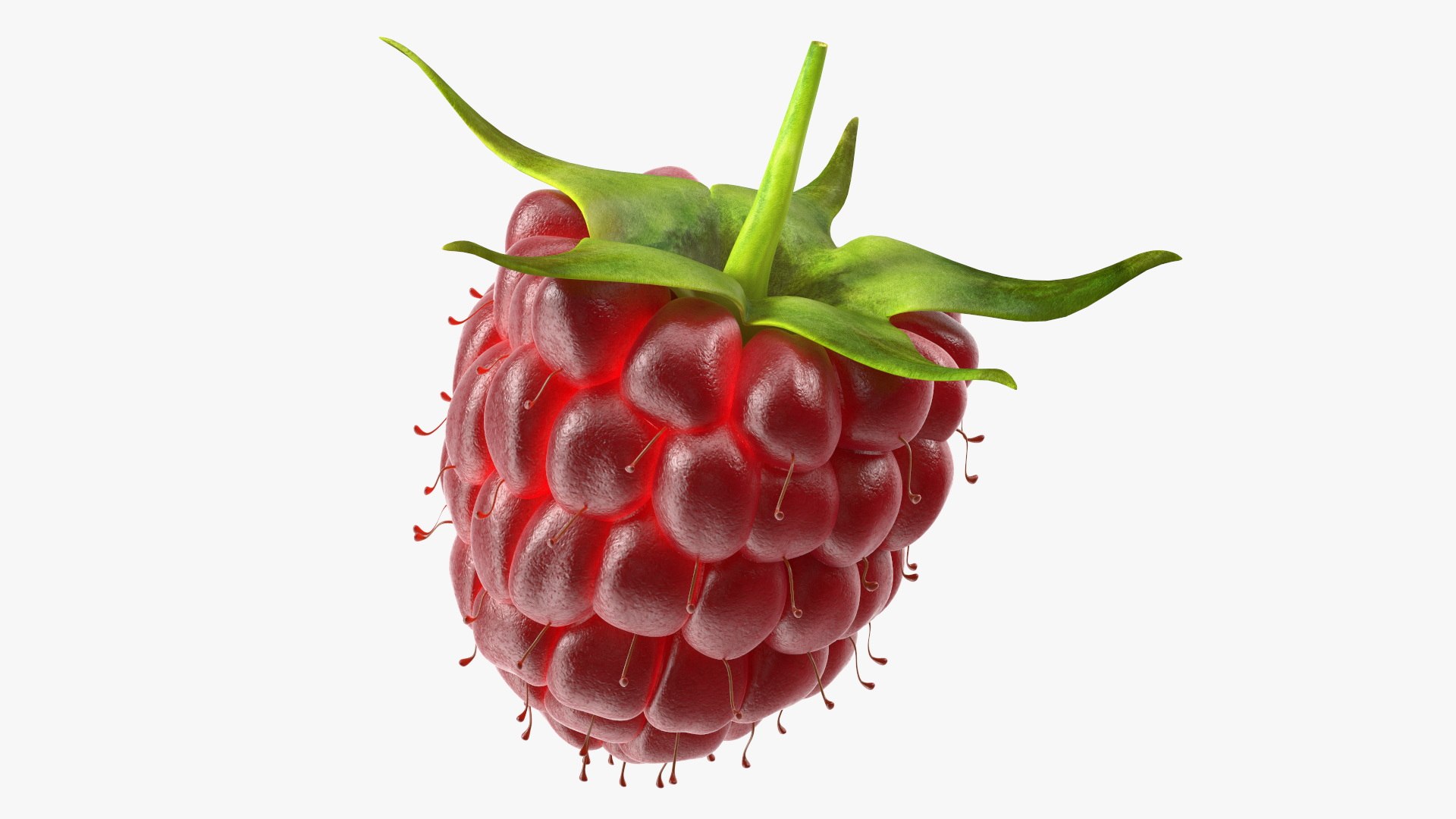 Red Raspberry 3D model preview