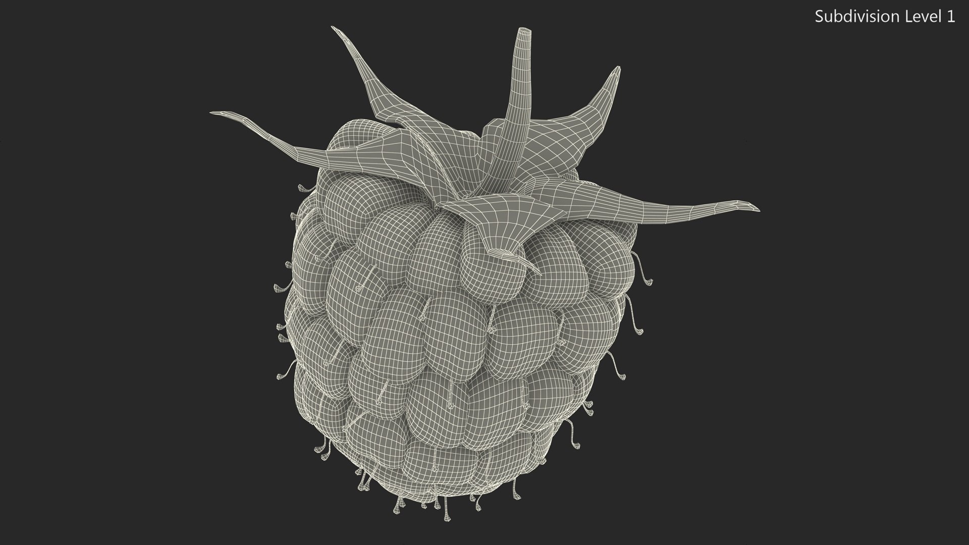 Red Raspberry 3D model https://p.turbosquid.com/ts-thumb/iZ/zHL7VR/X7/redraspberry3dmodel016/jpg/1695685012/1920x1080/fit_q87/2a37e5a7a86de2e13d61e340cbf5e53b46eacc0f/redraspberry3dmodel016.jpg