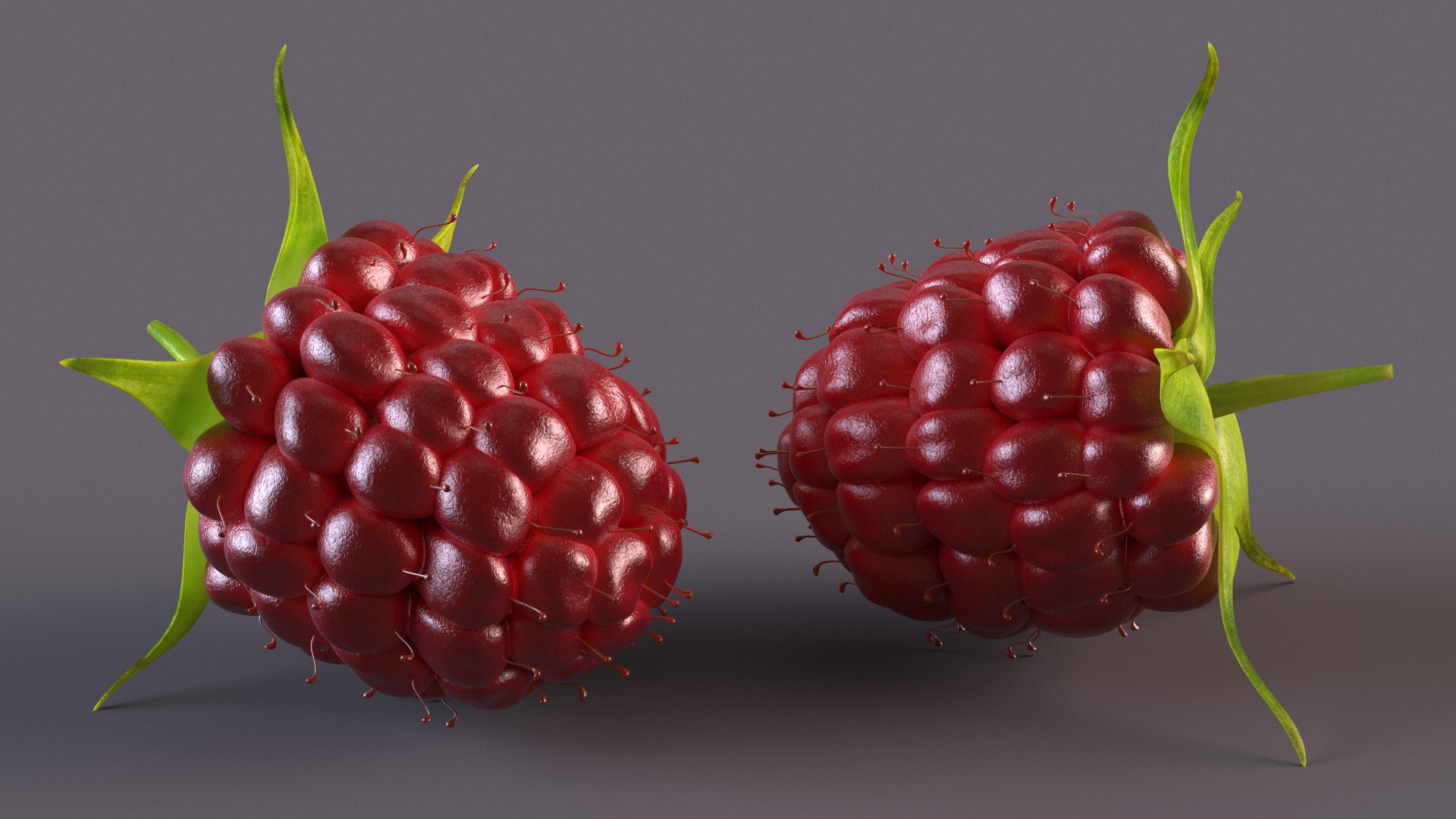Red Raspberry 3D model https://p.turbosquid.com/ts-thumb/iZ/zHL7VR/jl/redraspberry3dmodel007/jpg/1695684976/1920x1080/fit_q87/7b1b391d5dd9baaaeedfc0f145381cc7f2c28fa6/redraspberry3dmodel007.jpg