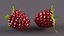 Red Raspberry