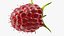 Red Raspberry