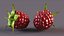 Red Raspberry