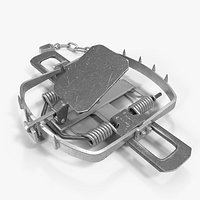 Bear Trap