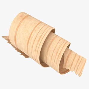 Wood Shavings 02 3D model