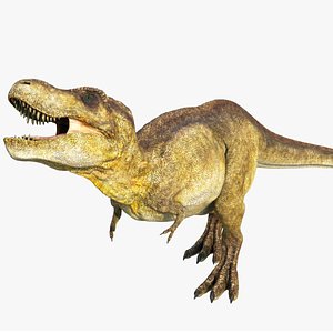Tyrannosaurus Rex T-Rex Anatomically Accurate Model