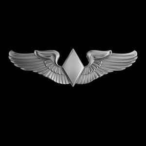 Women Airforce Service Pilots Badge