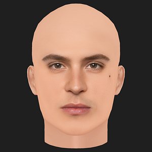 Low Poly Aron Piper Head