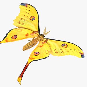 Comet Moth 3D Model