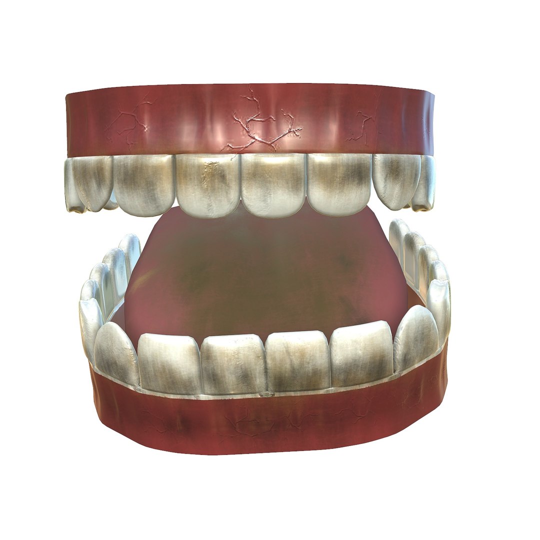 3D model teeth - mouth interior https://p.turbosquid.com/ts-thumb/ia/cTJg4B/8mhozx6J/screenshot008/jpg/1606348391/1920x1080/fit_q87/3eda453636e0192053fb6ce2acde7312c3008f3a/screenshot008.jpg
