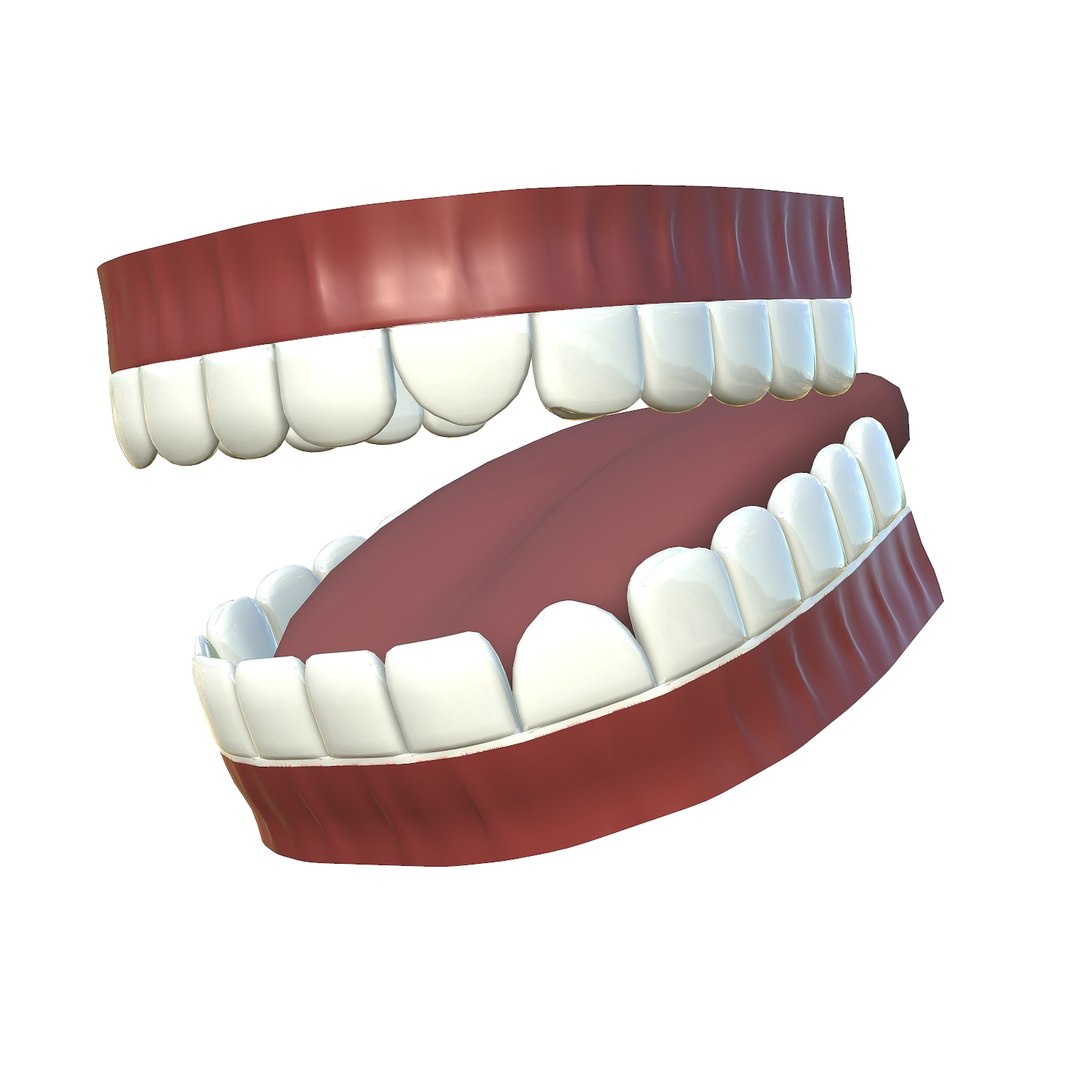 3D Model Teeth - Mouth Interior - TurboSquid 1655320