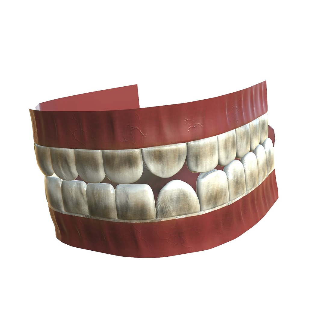 3D model teeth - mouth interior https://p.turbosquid.com/ts-thumb/ia/cTJg4B/UduAIEp7/screenshot015/jpg/1606348391/1920x1080/fit_q87/33aebee54047d08c086435190d5d5e8a05a959fe/screenshot015.jpg