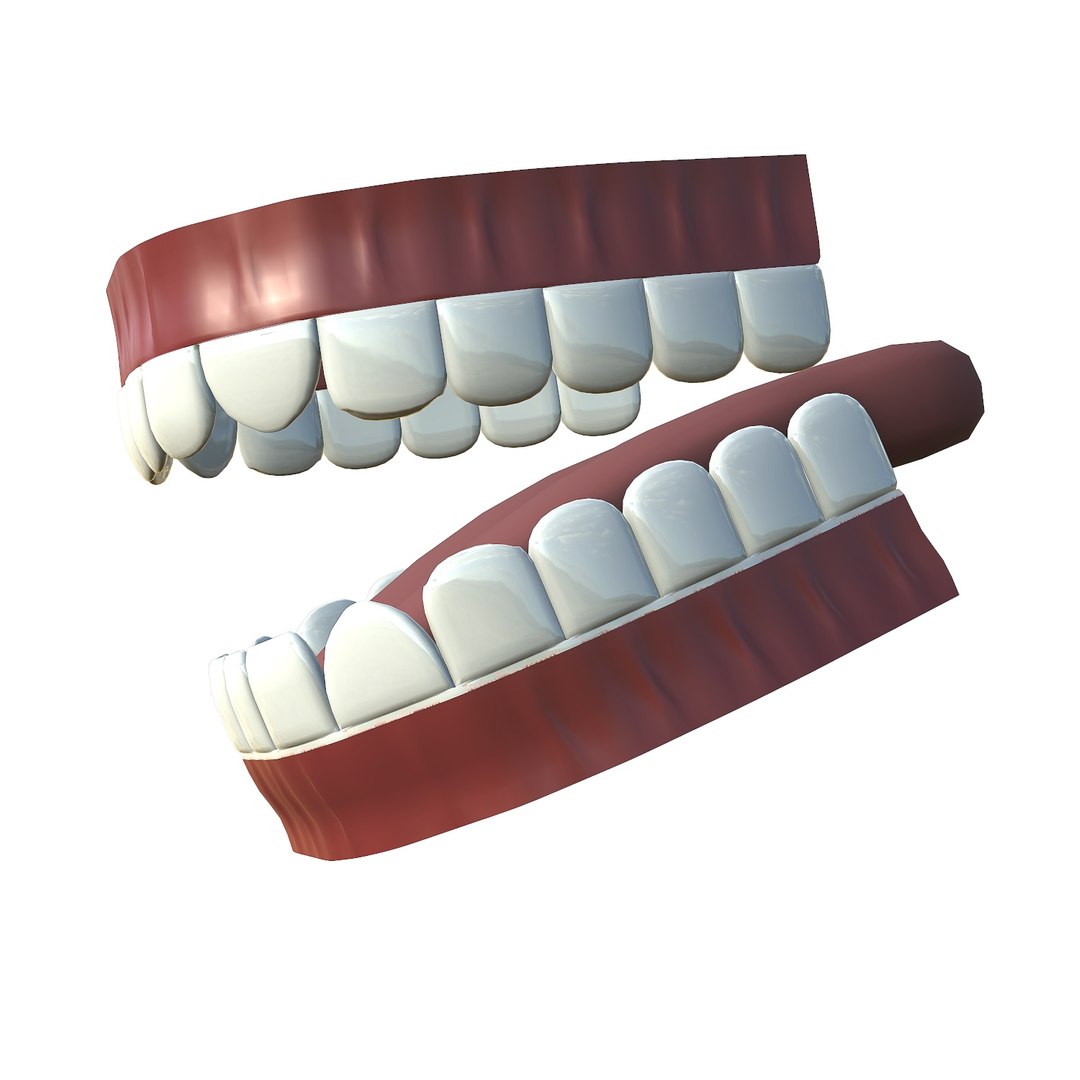 3D model teeth - mouth interior https://p.turbosquid.com/ts-thumb/ia/cTJg4B/hQh6zAWh/screenshot010/jpg/1606348391/1920x1080/fit_q87/b9112c44d1c0de14182e185b2ea94f21d1906f40/screenshot010.jpg
