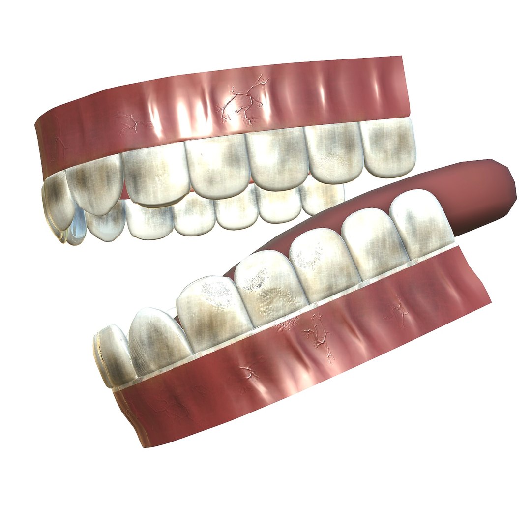 3D model teeth - mouth interior https://p.turbosquid.com/ts-thumb/ia/cTJg4B/kUd6IdEN/screenshot005/jpg/1606348391/1920x1080/fit_q87/2838d9c7b83d0a2fa03424181fe5e24bccbb24df/screenshot005.jpg