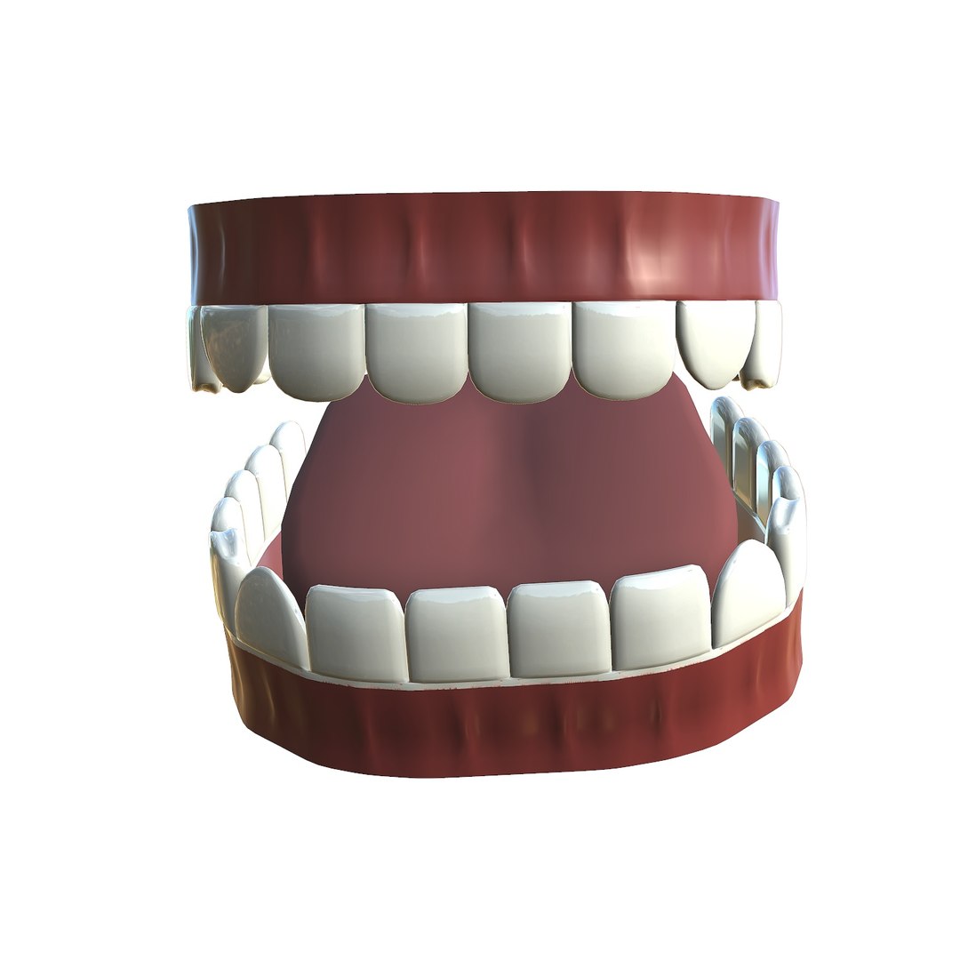 3D Model Teeth - Mouth Interior - TurboSquid 1655320