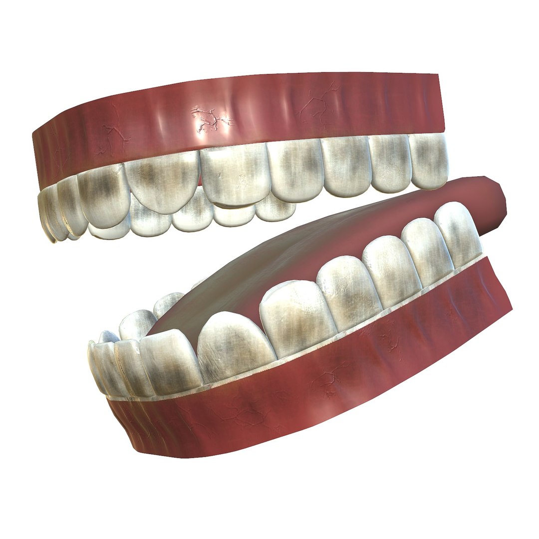 3D model teeth - mouth interior https://p.turbosquid.com/ts-thumb/ia/cTJg4B/vIfLf31V/screenshot004/jpg/1606348391/1920x1080/fit_q87/e9b497d616e7d8ee6cbe0a759d3b5f8b852a51c1/screenshot004.jpg