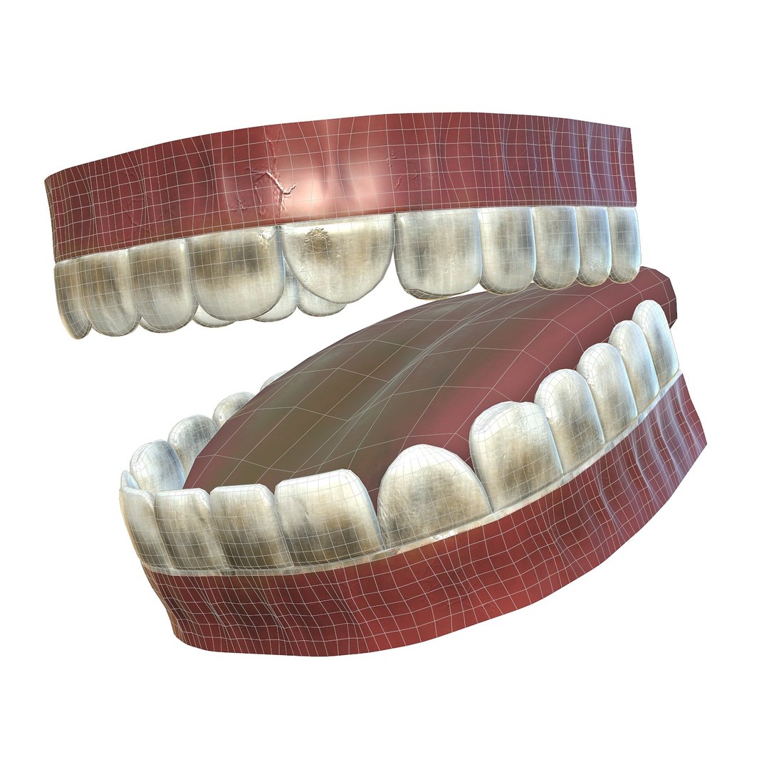 3D model teeth - mouth interior https://p.turbosquid.com/ts-thumb/ia/cTJg4B/yval5xkt/ekran2/jpg/1606348391/1920x1080/fit_q87/8b2e49f7bc3f91baf523fb3da647cadc441cbc14/ekran2.jpg