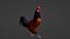 Rooster 3D model
