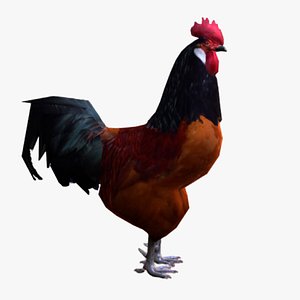 Rooster 3D model