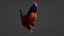 Rooster 3D model