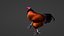 Rooster 3D model