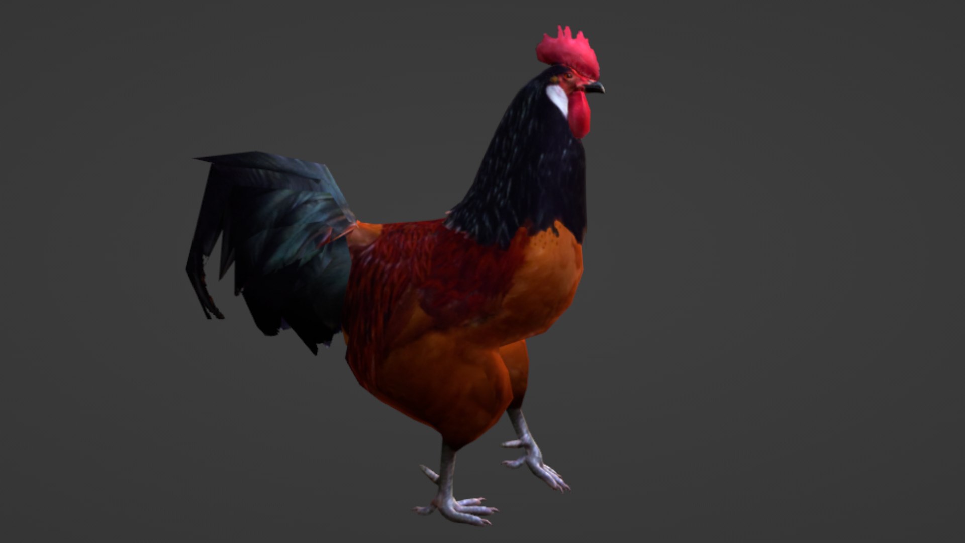 Rooster 3D Model - TurboSquid 2069886