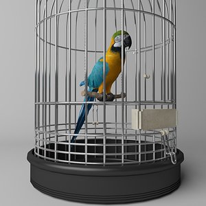 Parrot in cage