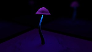 just a mushroom 3D model