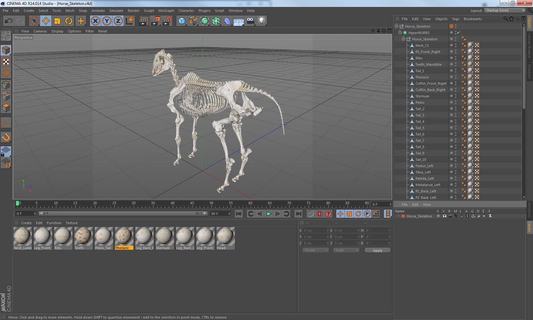 3D model horse skeleton https://p.turbosquid.com/ts-thumb/ia/u8BsKQ/6Ejy4wwT/horseskeletonmb3dmodel018/jpg/1538765929/1920x1080/fit_q87/925185b38d024d663ec7370f77b8ef0cde0d4f8d/horseskeletonmb3dmodel018.jpg