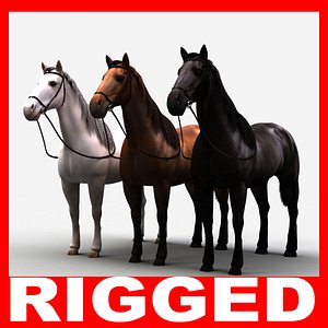 Horse (Rigged) (Three textures)