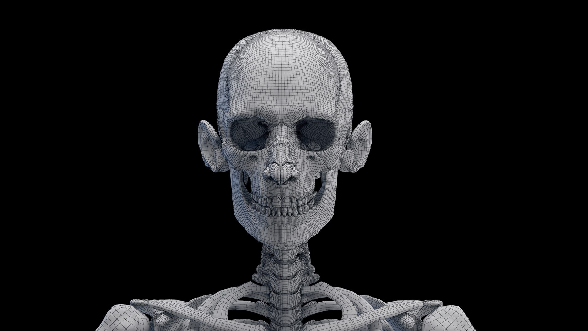Human Male Body Skeleton and Ligaments Static 3D model https://p.turbosquid.com/ts-thumb/ib/5CkSeG/4m/male_skeleton_wire0001/jpg/1680815415/1920x1080/fit_q87/aab9a16291ca3fffc45c54367862e756eb19d0b6/male_skeleton_wire0001.jpg