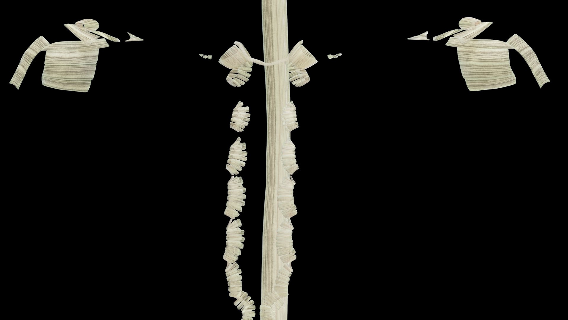 Human Male Body Skeleton and Ligaments Static 3D model https://p.turbosquid.com/ts-thumb/ib/5CkSeG/8W/male_ligaments0003/jpg/1680815339/1920x1080/fit_q87/609aa9ca7b7656a1e61f999d9954a404bef80ad3/male_ligaments0003.jpg
