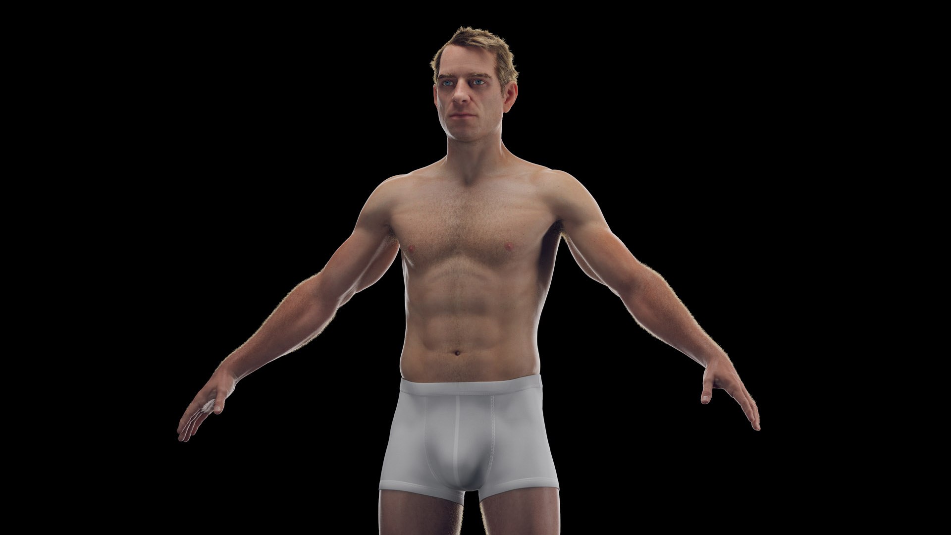 Human Male Body Skeleton and Ligaments Static 3D model https://p.turbosquid.com/ts-thumb/ib/5CkSeG/Bp/male_body0003/jpg/1680815045/1920x1080/fit_q87/5c2332b3398913a543ee30e178b41920dc720708/male_body0003.jpg