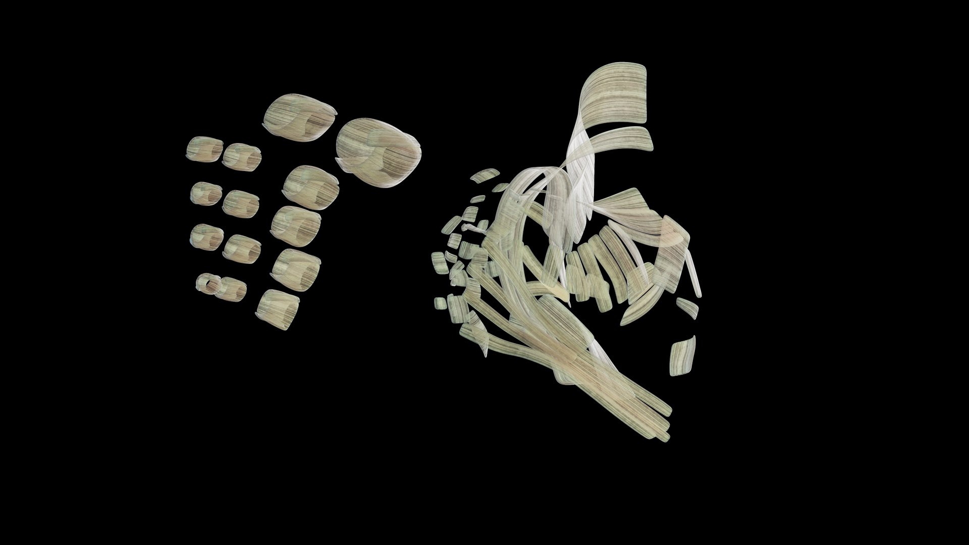 Human Male Body Skeleton and Ligaments Static 3D model https://p.turbosquid.com/ts-thumb/ib/5CkSeG/SC/male_ligaments0012/jpg/1680815344/1920x1080/fit_q87/bc34bd68b389b252a067ff750bbe6c6db94e9110/male_ligaments0012.jpg