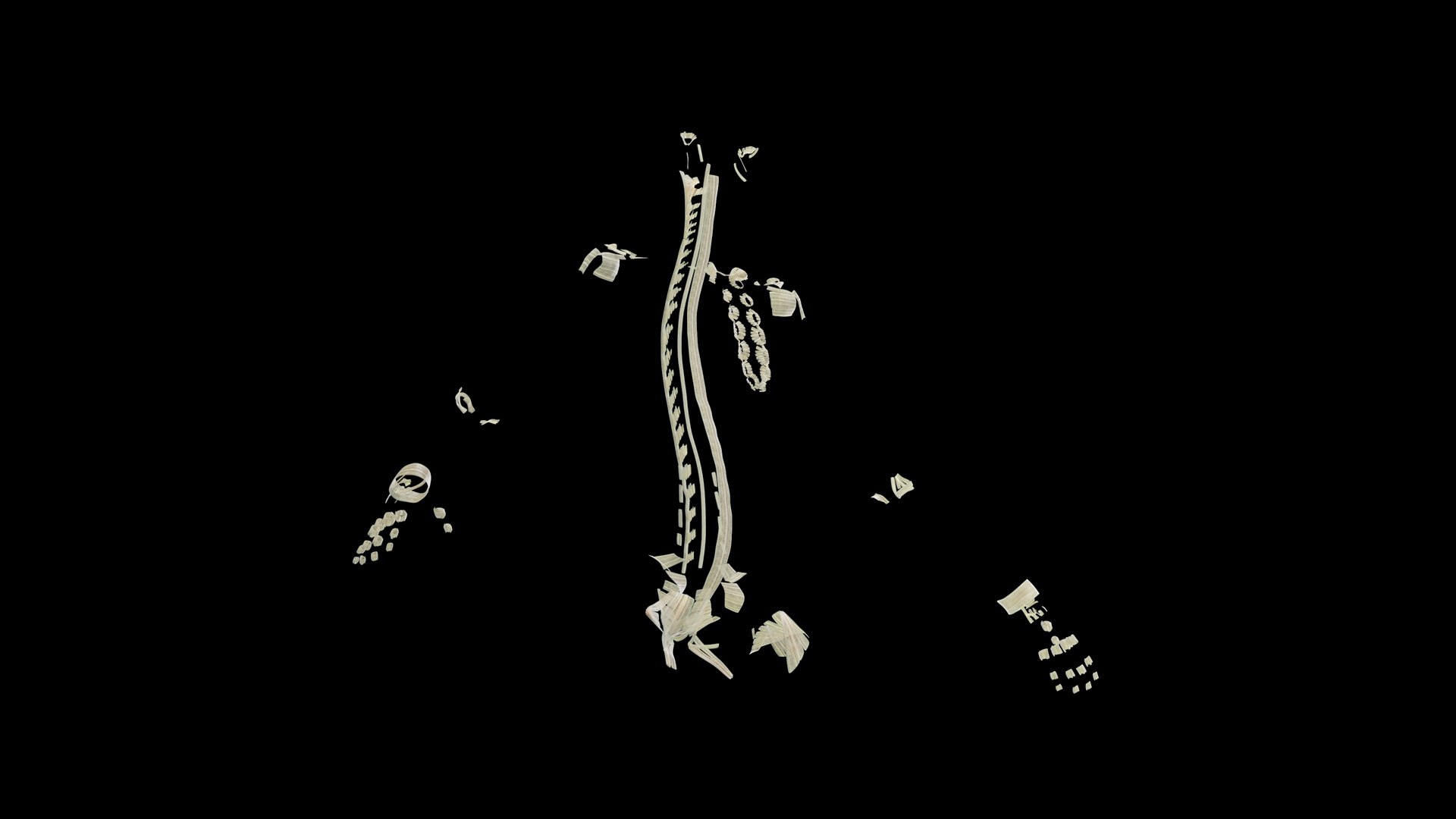 Human Male Body Skeleton and Ligaments Static 3D model https://p.turbosquid.com/ts-thumb/ib/5CkSeG/Uk/male_ligaments0005/jpg/1680815340/1920x1080/fit_q87/b0d2fd04500b2706050db1f6b9532c3eff0254ee/male_ligaments0005.jpg