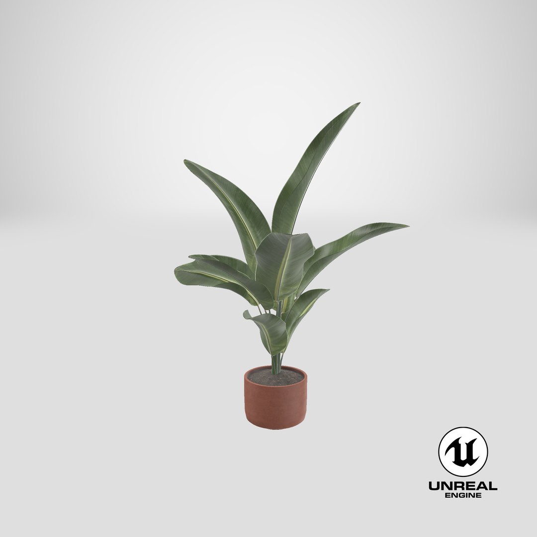 3D banana plant https://p.turbosquid.com/ts-thumb/ib/D2leld/krdnn1aX/stemcell_unreal_render/png/1584512629/1920x1080/fit_q87/13253fefb9109aa464596d08cc8bab837719435a/stemcell_unreal_render.jpg