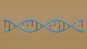 Cartoon DNA