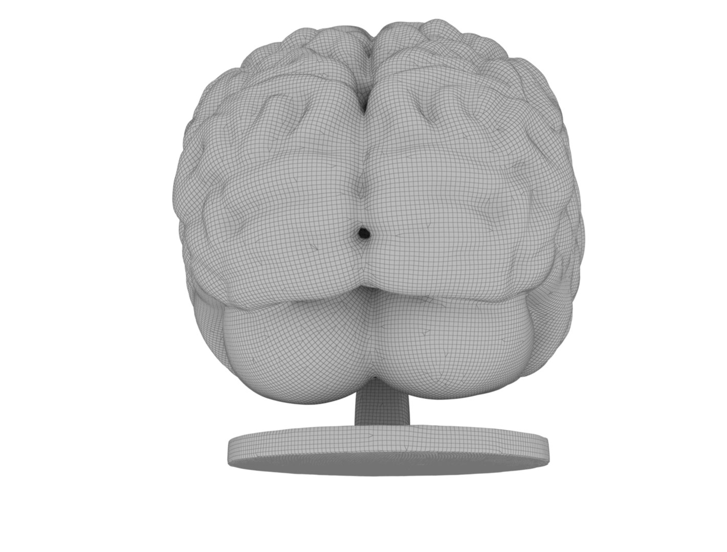 Human Brain 3D Model 3D Model - TurboSquid 2319217