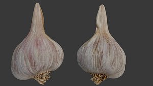 Garlic Bulb 3D Scan 3D model