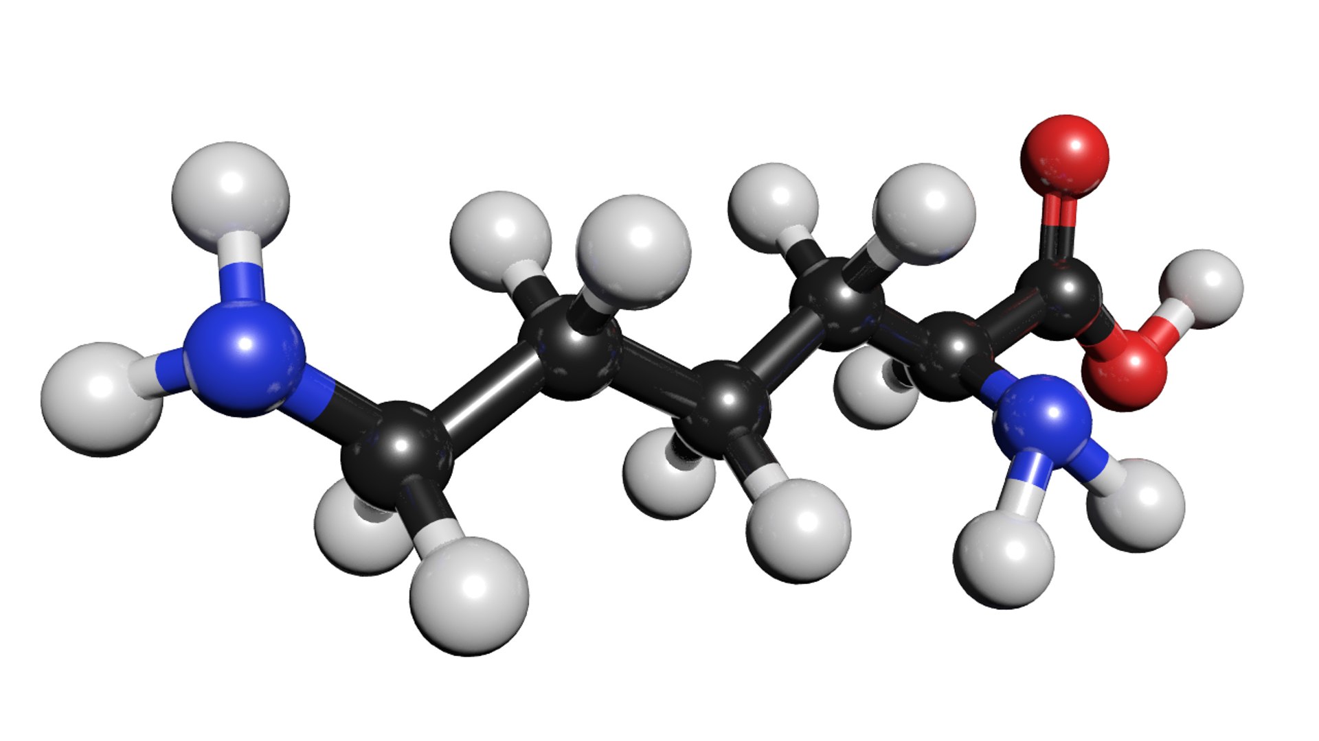 3D c6h14n2o2 lysine model https://p.turbosquid.com/ts-thumb/ib/WB4BVN/CCWtKa6K/lysine3/png/1562933032/1920x1080/fit_q87/d435935dbd60476e39312a5c858d586081ebd41d/lysine3.jpg