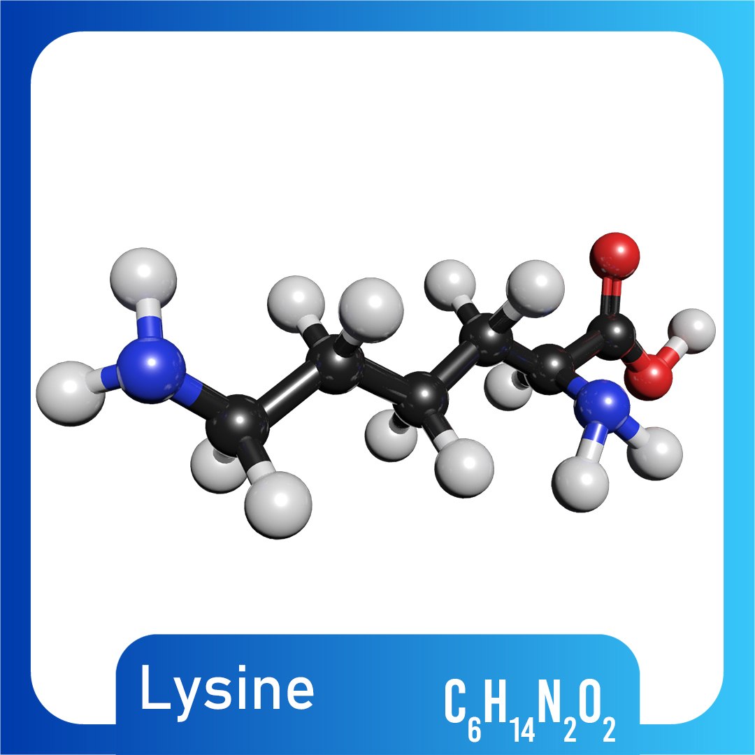 3D c6h14n2o2 lysine model https://p.turbosquid.com/ts-thumb/ib/WB4BVN/SRxs3RZK/alysine/jpg/1562933032/1920x1080/fit_q87/71556c8ea3ac47685bab9603ee6cebbf5bf0e5f6/alysine.jpg